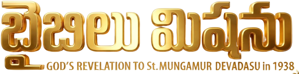 thebiblemission